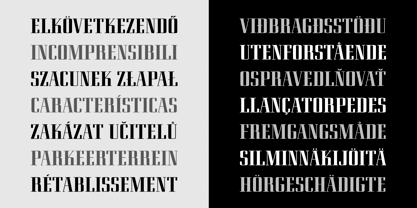 Eden CT Font Poster 15