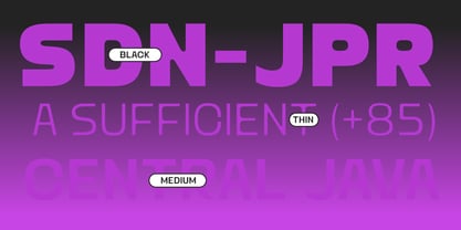 Mizun Typeface Font Poster 13