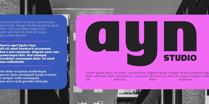 Mizun Typeface Font Poster 12