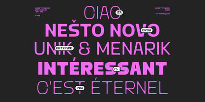 Mizun Typeface Font Poster 6