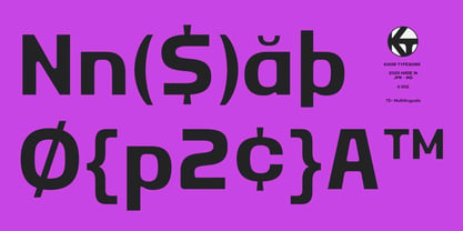 Mizun Typeface Font Poster 11