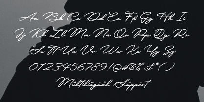 Libertian Signature Font Poster 7
