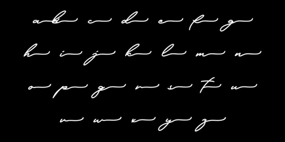 Libertian Signature Font Poster 8