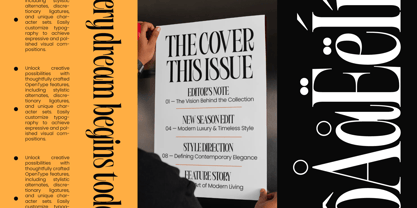 Bargckiss Font Poster 7