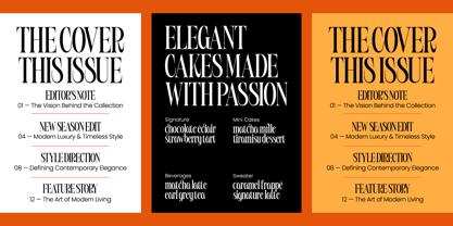 Bargckiss Font Poster 2