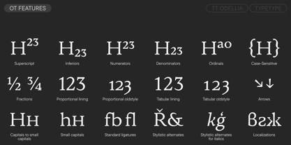 TT Odellia Font Poster 12