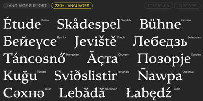 TT Odellia Font Poster 7