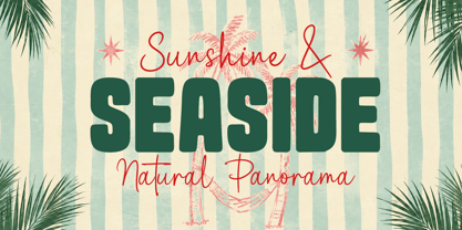 Summer Blythe Font Poster 2