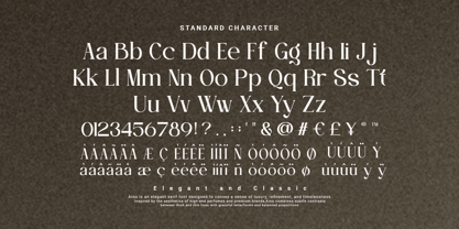 Aino Font Poster 3