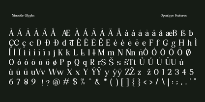 Ninoside Font Poster 12