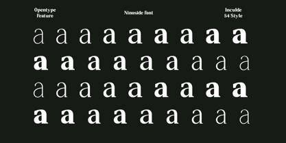 Ninoside Font Poster 3