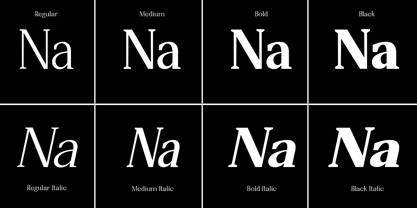 Ninoside Font Poster 9