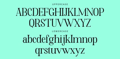 Hasfejan Font Poster 3