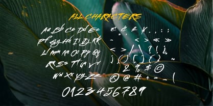 Sthayos Font Poster 2