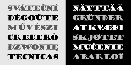 Goudy Stout CT Font Poster 4
