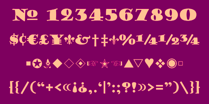 Goudy Stout CT Font Poster 8
