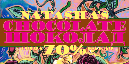 Goudy Stout CT Font Poster 5
