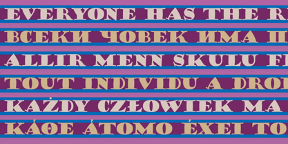Goudy Stout CT Font Poster 10