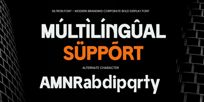 Siltron Font Poster 12
