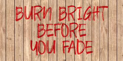 Real Flores Brush Font Poster 8