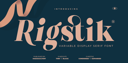 Rigstik Serif Font Poster 1
