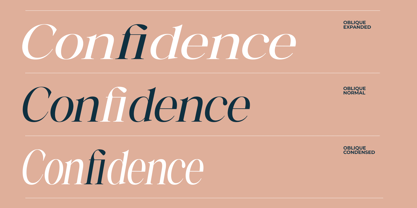 Rigstik Serif Font Poster 4