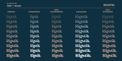 Rigstik Serif Font Poster 3
