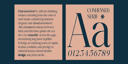Rigstik Serif Font Poster 8