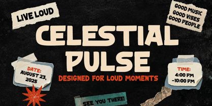 Camu Sicavest Font Poster 8