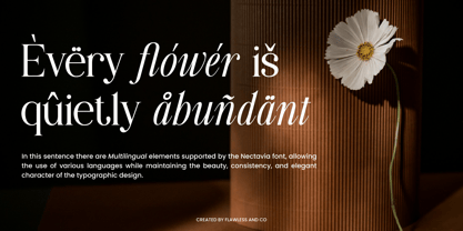 Nectavia Font Poster 10