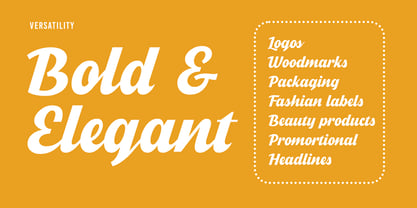 Winfly Font Poster 5