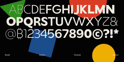 Bausik Sans Font Poster 9