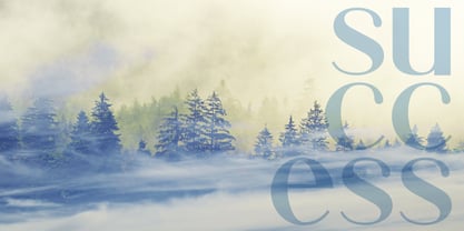 Vyhor Font Poster 7