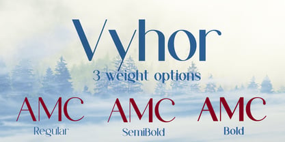 Vyhor Font Poster 3