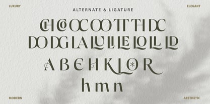 Diablocore Display Font Poster 5