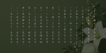 Clayton Font Poster 9