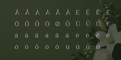 Clayton Font Poster 4