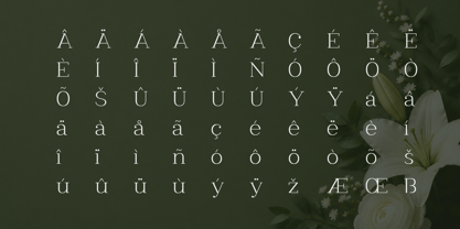 Clayton Font Poster 8