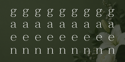 Clayton Font Poster 5