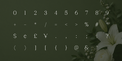Clayton Font Poster 7