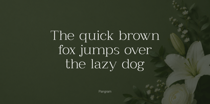 Clayton Font Poster 3