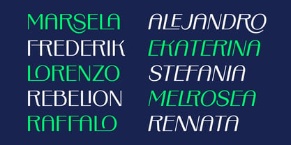 Binaru Font Poster 9