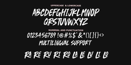 MLTP Badrain Brush Font Poster 7