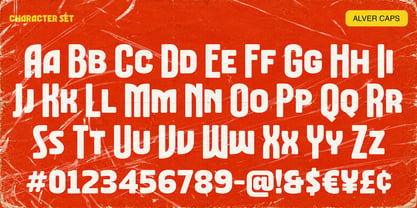 Alver Font Poster 9