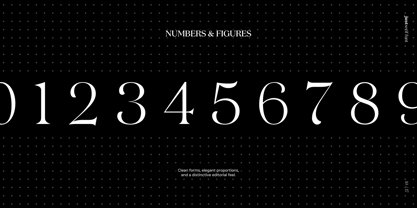 JUST Serif Font Poster 9
