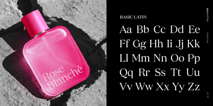 JUST Serif Font Poster 13