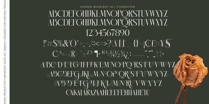 Hidden Midnight Font Poster 10