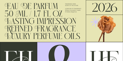 Hidden Midnight Font Poster 7