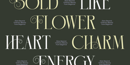 Hidden Midnight Font Poster 2
