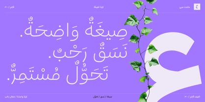 OT Magnet Arabic Font Poster 12